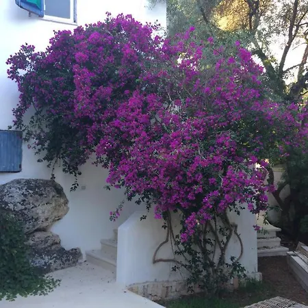 Villa A Con Piscina A 300 M. Dal Mare *