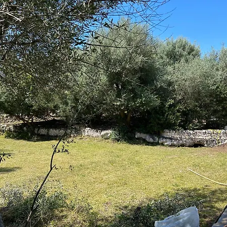 A Con Piscina A 300 M. Dal Mare Rosa Marina